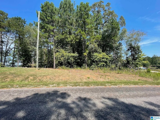 Listing photo 2 for LOT19 Cedar Creek Dr Unit 19, Sylacauga AL 35151