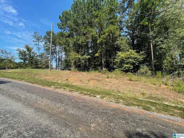 LOT19 Cedar Creek Dr Unit 19, Sylacauga, AL 35151