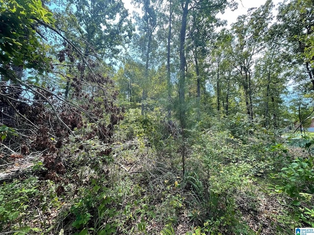 LOT19 Cedar Creek Dr Unit 19, Sylacauga, AL 35151