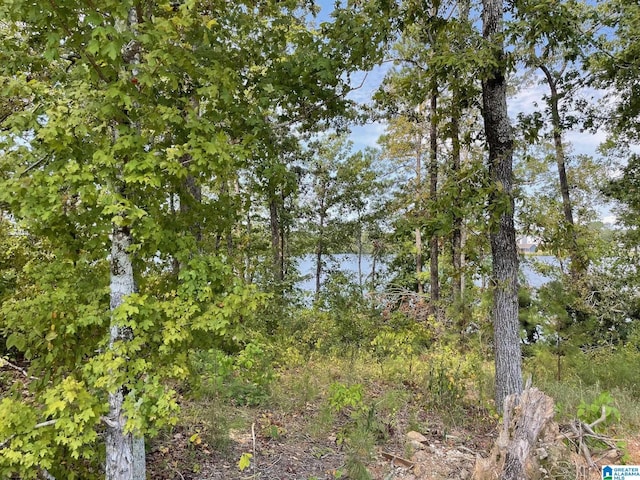 LOT19 Cedar Creek Dr Unit 19, Sylacauga, AL 35151