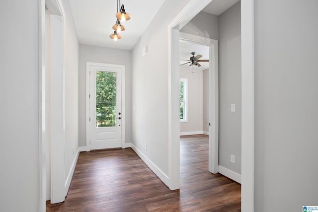 foyer entrance featuring ceiling fan and dark hardwood / wood-style flooring