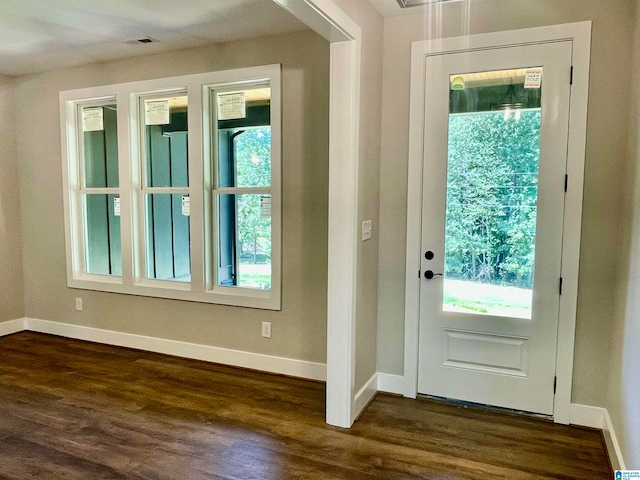 entryway with plenty of natural light and dark hardwood / wood-style floors