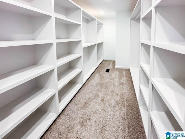 walk in closet with carpet floors