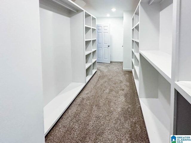 walk in closet featuring carpet floors