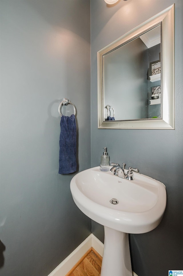 bathroom featuring hardwood / wood-style flooring