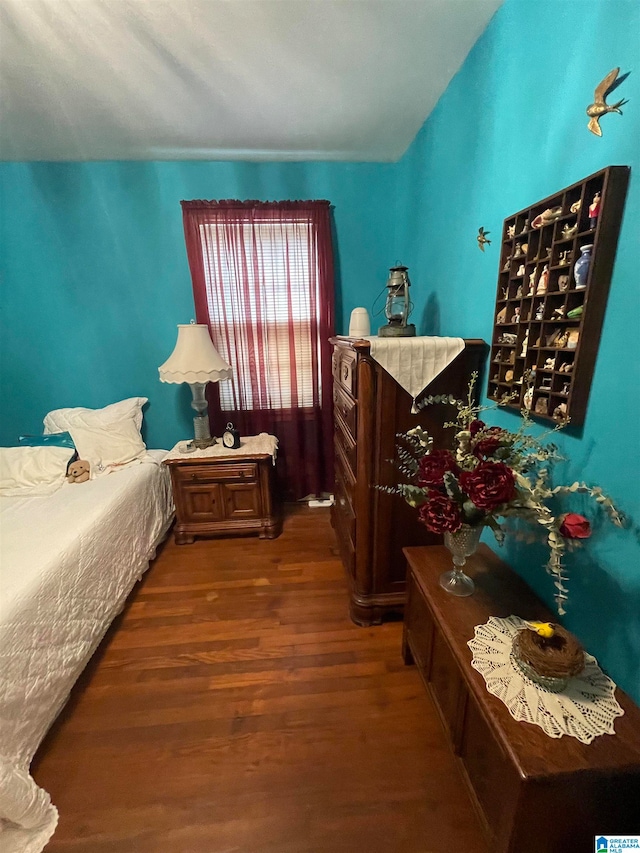 bedroom featuring dark wood-type flooring