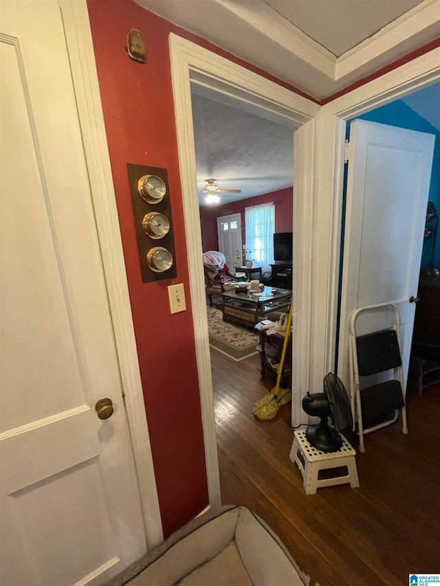 corridor featuring dark hardwood / wood-style flooring