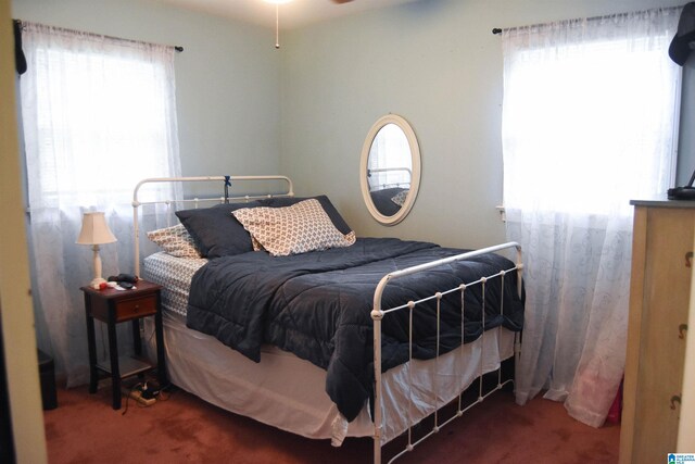 carpeted bedroom with multiple windows