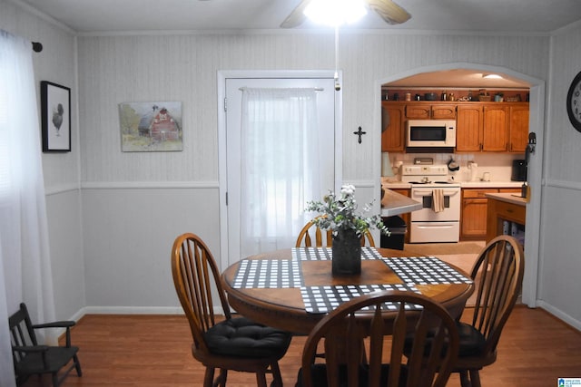 dining area with ceiling fan, light hardwood / wood-style floors, and crown molding