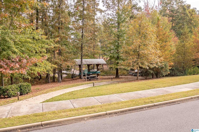 view of property's community with a yard