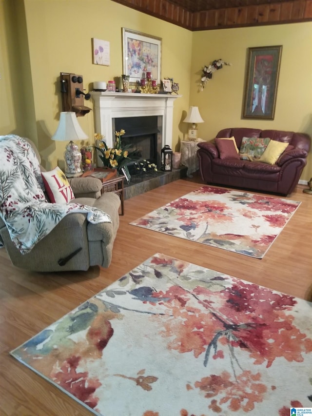 living room with hardwood / wood-style flooring