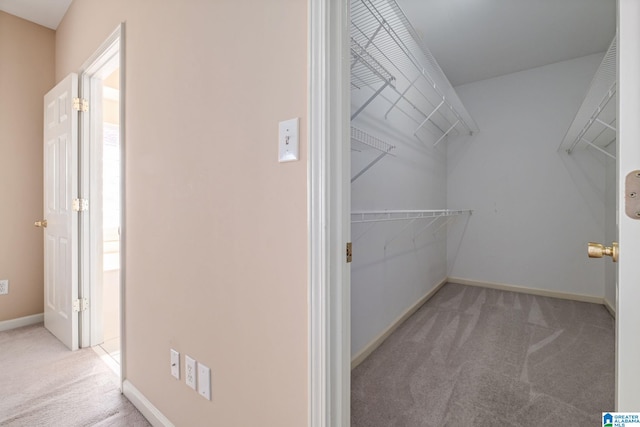 walk in closet featuring light colored carpet