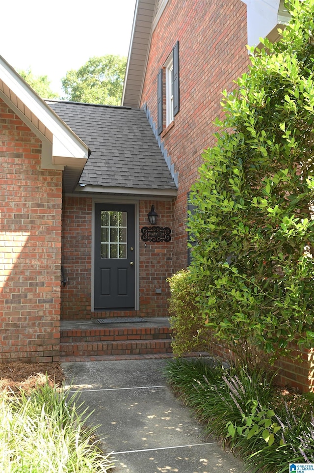 doorway to property featuring brick siding and roof with shingles