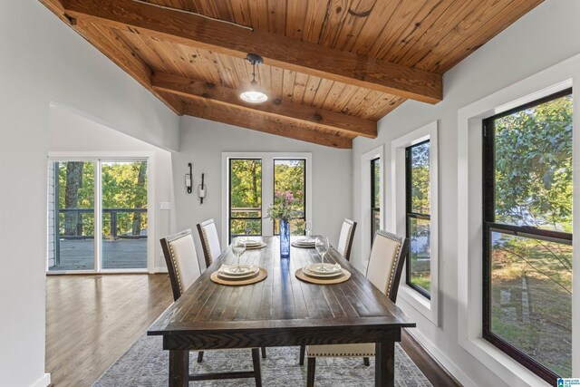 spare room with dark hardwood / wood-style flooring and wood walls