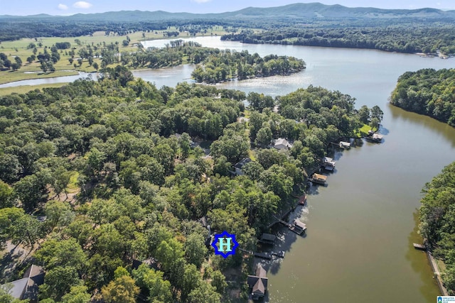 birds eye view of property with a water and mountain view and a wooded view