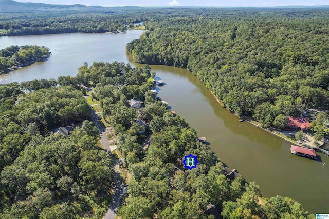 drone / aerial view with a water view and a forest view