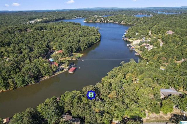 birds eye view of property featuring a water view and a view of trees