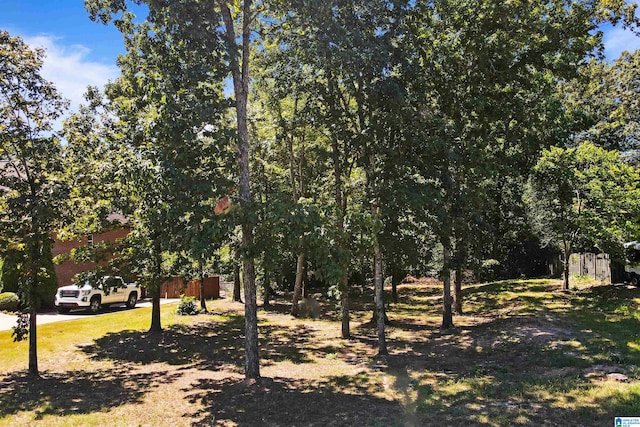 Listing photo 2 for 316 Sterling Manor Cir Lot # 15, Alabaster AL 35007