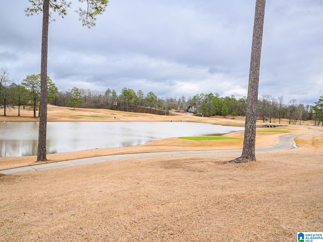 property view of water