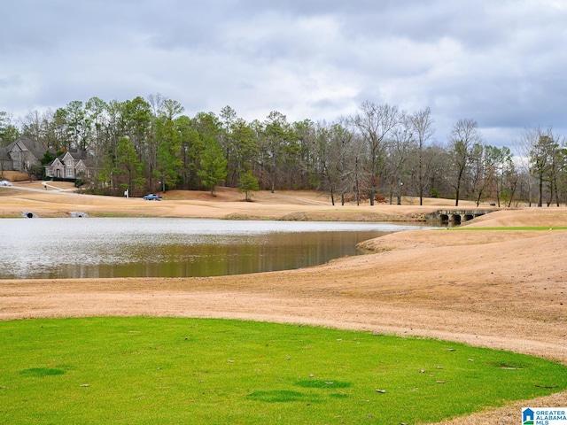 view of home's community with a water view