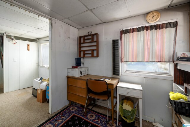 carpeted office space with a paneled ceiling