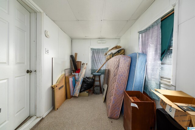 miscellaneous room featuring light colored carpet and a wealth of natural light