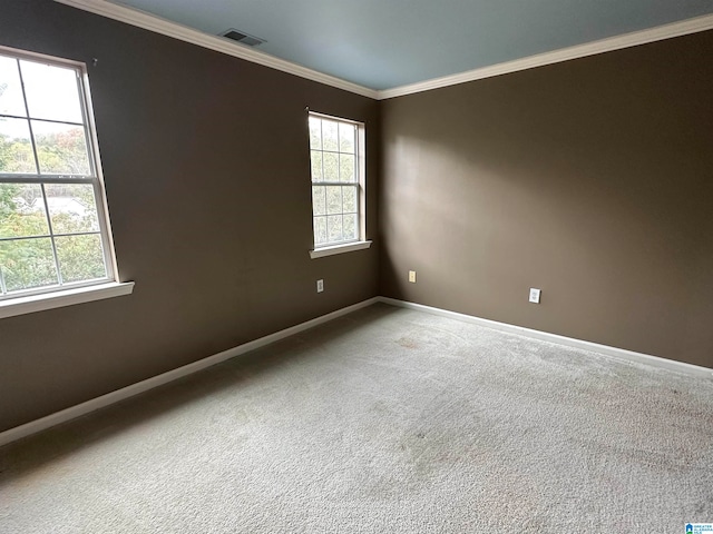 carpeted empty room featuring crown molding