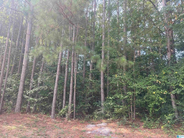 Oakview Cir Unit 11, Sylacauga AL, 35150 land for sale