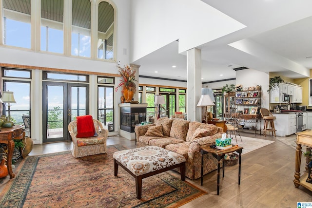 living room featuring french doors, light hardwood / wood-style floors, and a high ceiling