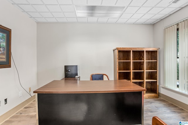 unfurnished office with a paneled ceiling, a wealth of natural light, and light hardwood / wood-style flooring