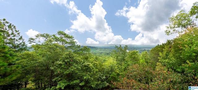 view of local wilderness