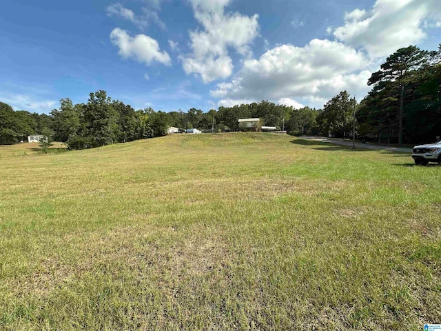 LOTS1-4 Park Ave Unit 1, Moody AL, 35004 land for sale