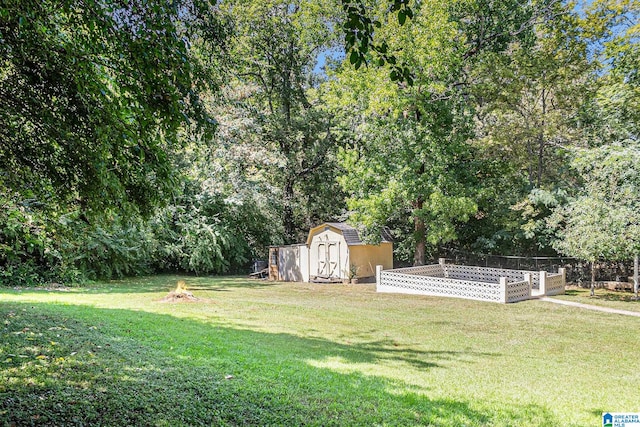 view of yard featuring a storage unit