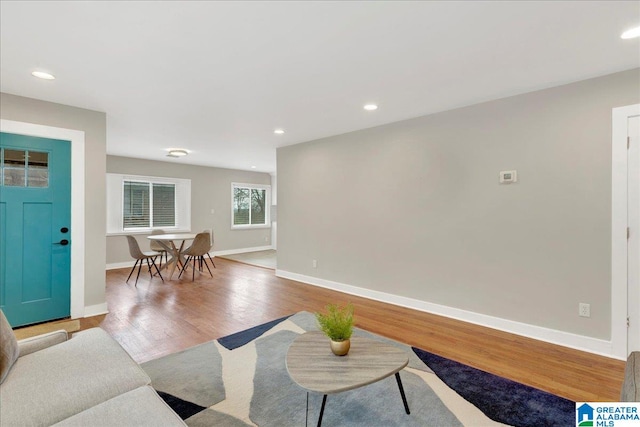 living room with hardwood / wood-style flooring