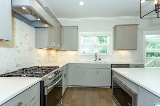 kitchen featuring custom exhaust hood, stainless steel appliances, dark hardwood / wood-style flooring, sink, and ornamental molding