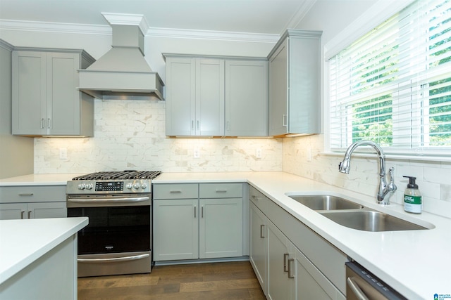 kitchen featuring crown molding, custom range hood, stainless steel appliances, sink, and dark wood-type flooring