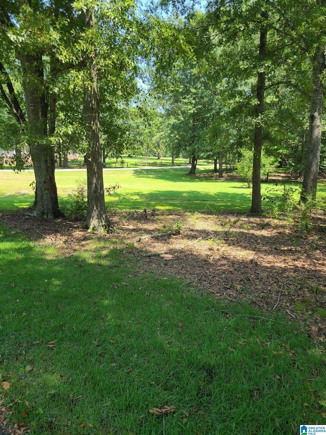 450 3rd St Unit 14, Thorsby AL, 35171 land for sale