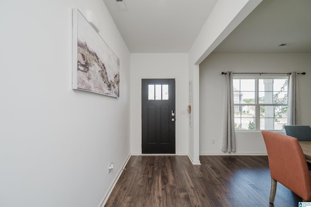 foyer entrance featuring dark wood-type flooring