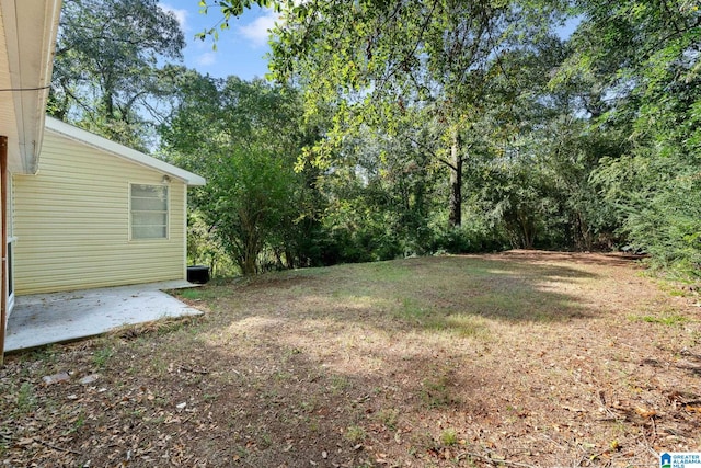 view of yard featuring a patio area