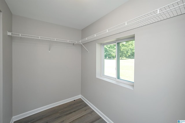 spacious closet featuring dark hardwood / wood-style flooring