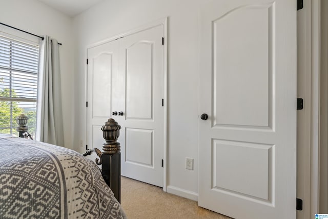 bedroom with a closet and light carpet