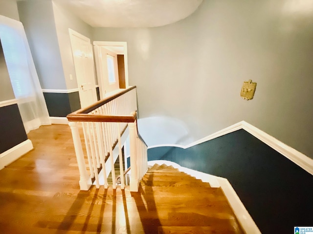 stairs featuring hardwood / wood-style flooring