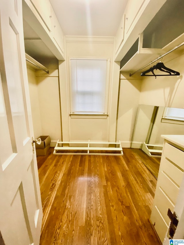 spacious closet with hardwood / wood-style floors