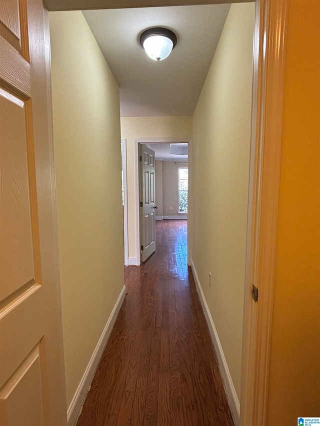 hallway with dark hardwood / wood-style floors