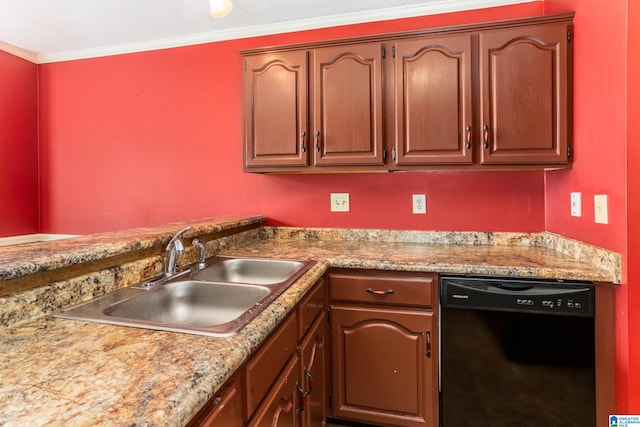 kitchen featuring black dishwasher, ornamental molding, and sink