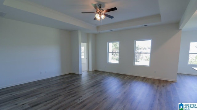 unfurnished room featuring plenty of natural light, a tray ceiling, and dark hardwood / wood-style flooring