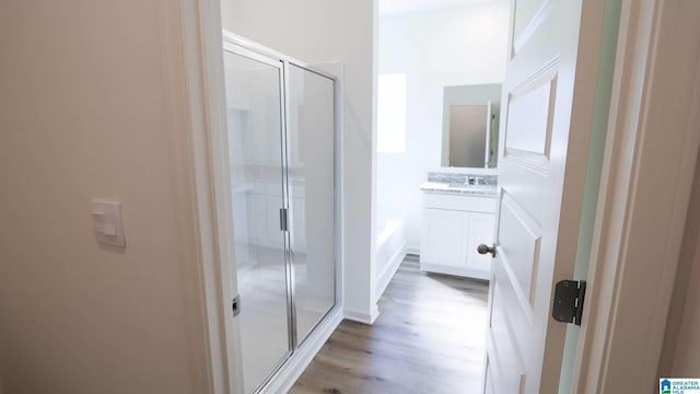 bathroom featuring vanity, separate shower and tub, and wood-type flooring