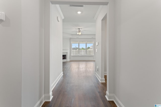 hallway with dark hardwood / wood-style floors and crown molding