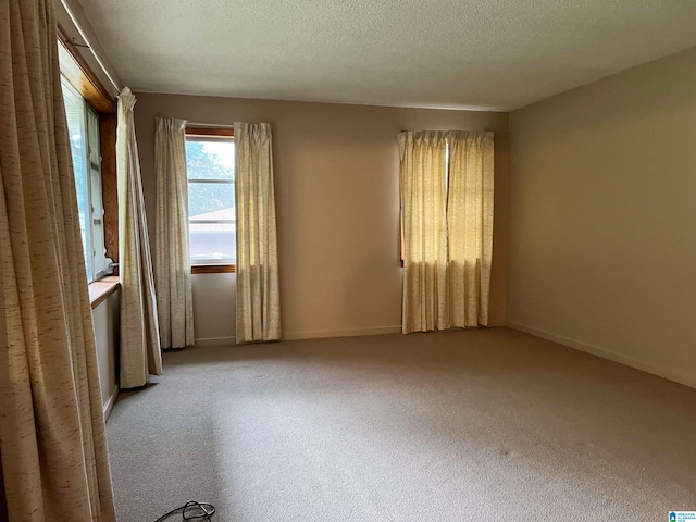 empty room featuring a textured ceiling and light colored carpet