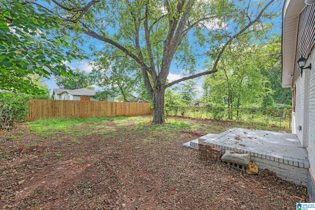 view of yard featuring a patio area